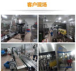 食用油灌裝旋蓋一體機 迅捷高效的灌裝解決方案